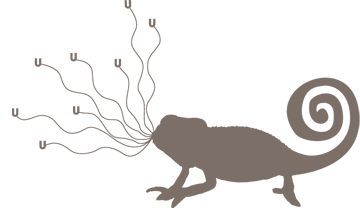 UDATA the reference in data collection process